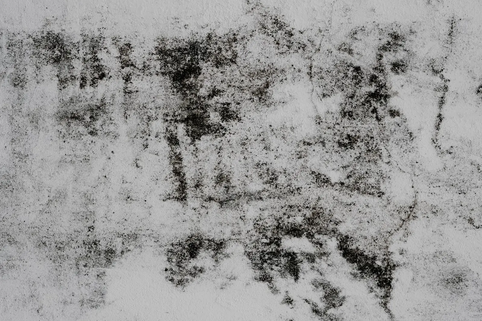 Mold Removal & Remediation in Edmond, OK Blitz Restoration